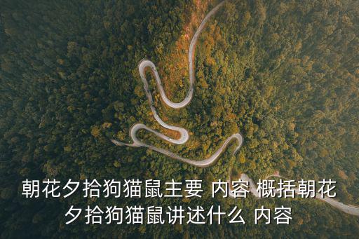狗貓鼠內容概括,《狗、貓、老鼠》揭批評評家的卑鄙手段