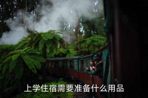 上學(xué)住宿需要準(zhǔn)備什么用品