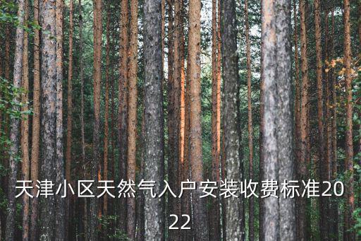 天津小區(qū)天然氣入戶安裝收費標(biāo)準(zhǔn)2022