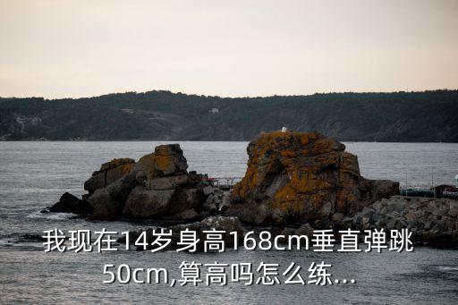我現(xiàn)在14歲身高168cm垂直彈跳50cm,算高嗎怎么練...