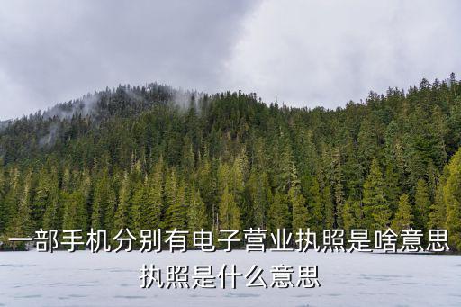 一部手機分別有電子營業執照是啥意思執照是什么意思