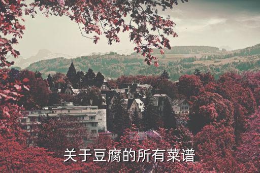 關于豆腐的所有菜譜
