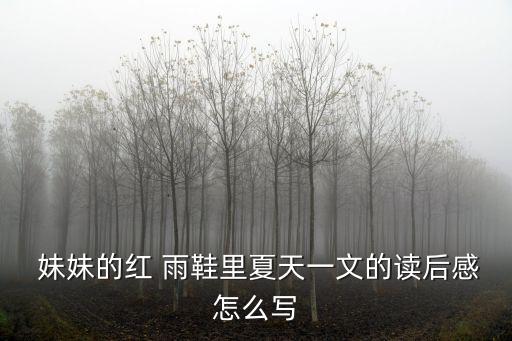 妹妹的紅雨鞋,red雨鞋of妹妹