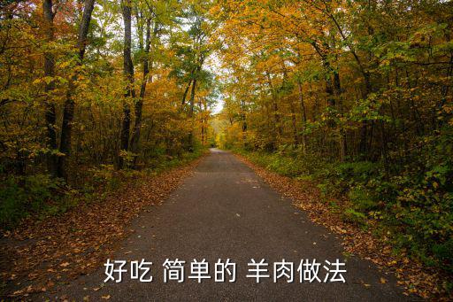 好吃 簡單的 羊肉做法
