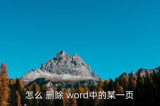 怎么 刪除 word中的某一頁