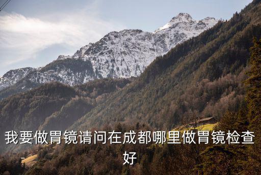 我要做胃鏡請問在成都哪里做胃鏡檢查好