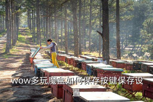  wow多玩魔盒如何保存按鍵保存設置