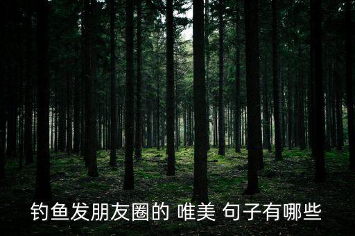 釣魚發(fā)朋友圈的 唯美 句子有哪些