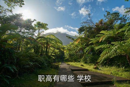職業學校有哪些,廣東職業中專學校有很多