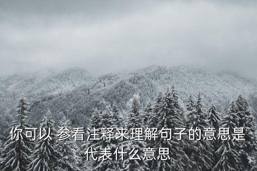 你可以 參看注釋來理解句子的意思是代表什么意思