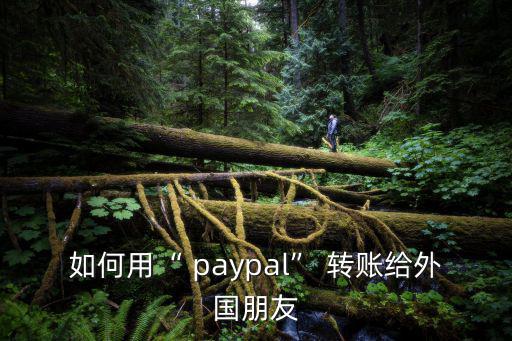 如何用“ paypal” 轉(zhuǎn)賬給外國朋友