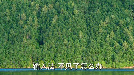  輸入法 不見了怎么辦
