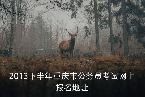 2013下半年重慶市公務(wù)員考試網(wǎng)上報名地址