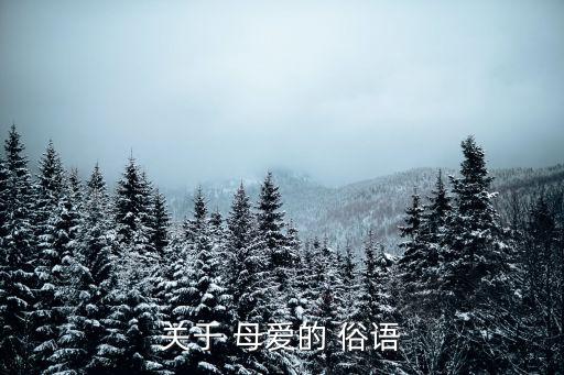 母愛的俗語,母親用針線為兒子縫制衣服不求回報