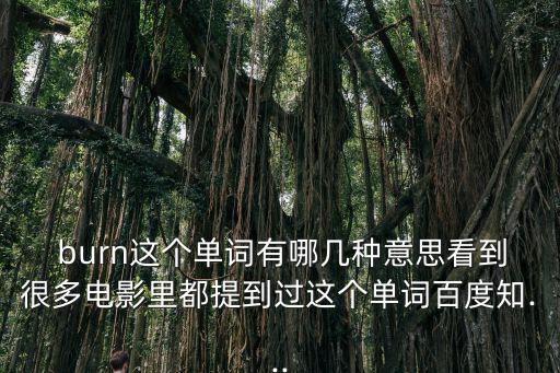 burn的意思,死者都是哪些東西?