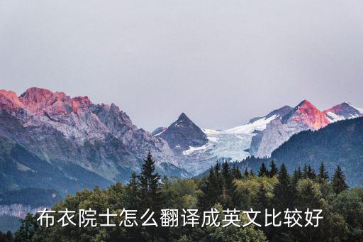 布衣院士怎么翻譯成英文比較好