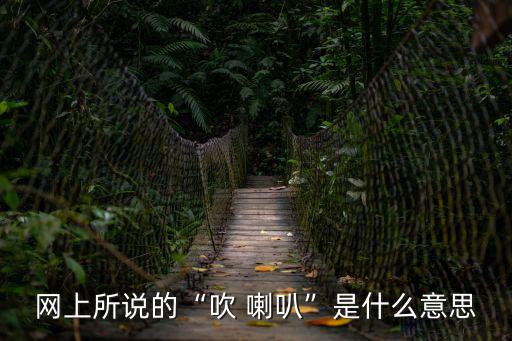 吹喇叭,我不會跟著賣羊肉的喇叭第二集