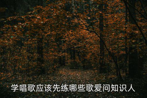 學(xué)唱歌應(yīng)該先練哪些歌愛問知識人