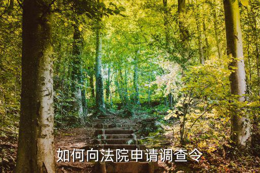 如何向法院申請調(diào)查令