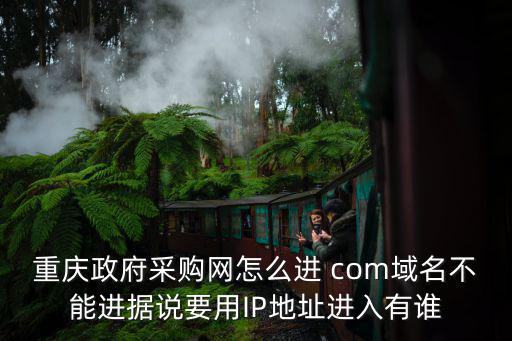 重慶政府采購(gòu)網(wǎng)怎么進(jìn) com域名不能進(jìn)據(jù)說(shuō)要用IP地址進(jìn)入有誰(shuí)