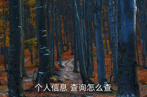 怎么查詢,如何查詢機動車違章?