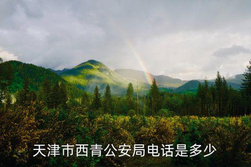 天津市西青公安局電話是多少