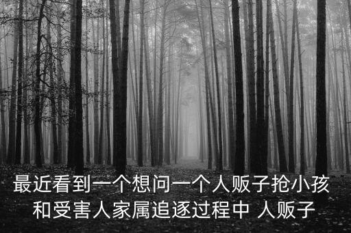 最近看到一個想問一個人販子搶小孩 和受害人家屬追逐過程中 人販子