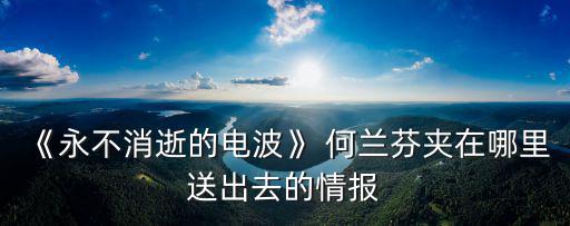 《永不消逝的電波》 何蘭芬夾在哪里送出去的情報