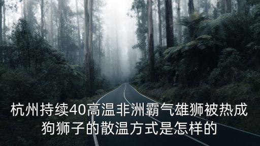 非洲獅子，非洲獅的身高體重壽命分別是幾