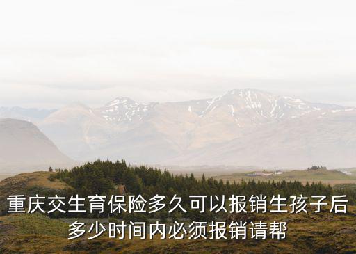 重慶交生育保險多久可以報銷生孩子后多少時間內必須報銷請幫