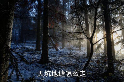 天坑地縫怎么走