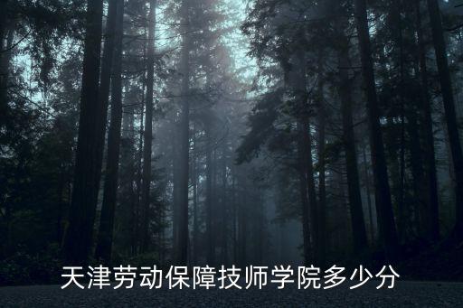 天津勞動保障技師學院多少分