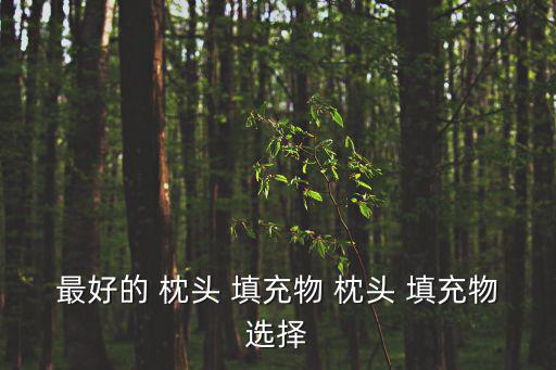 枕頭填充物,床上用品有哪些東西?