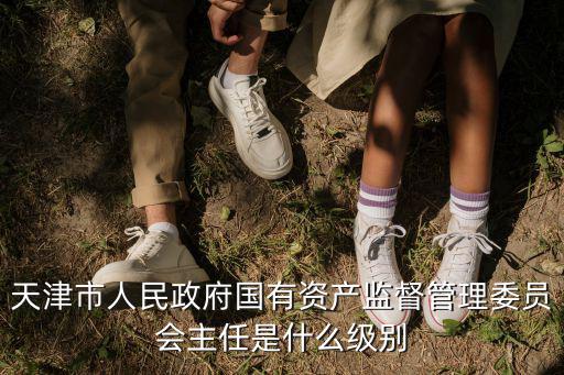 天津市國資委鵬三簡歷，天津冶金集團(tuán)主管行政的上級部門誰