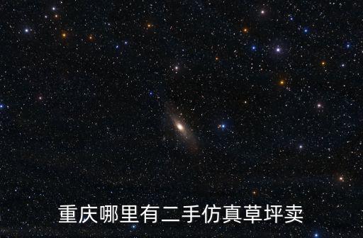 重慶哪里有二手仿真草坪賣