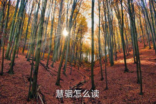 慧骃,《慧之國(guó)游記》第一集:作者當(dāng)船長(zhǎng)遇到了兩個(gè)慧智