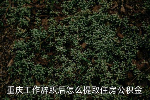 重慶工作辭職后怎么提取住房公積金