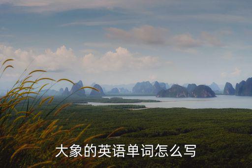 大象的英語單詞怎么寫