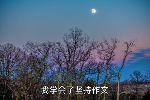 我學會了堅持作文