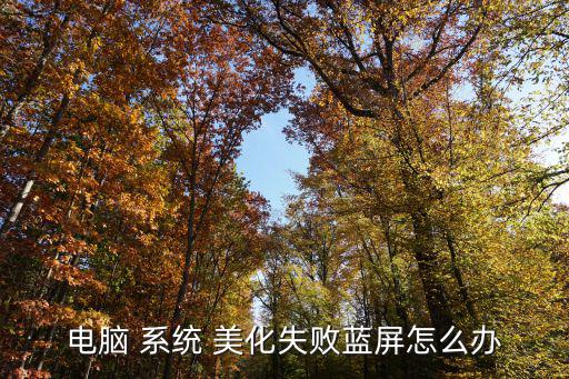 電腦 系統 美化失敗藍屏怎么辦