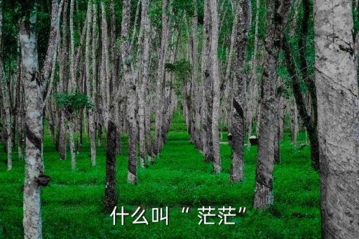 茫茫,蒙古大草原:沒有茫茫