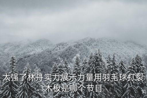 林丹羽毛球比賽視頻，8月14日羽毛球世錦賽決賽直播林丹VS李宗偉 814羽毛球世錦賽決賽現(xiàn)
