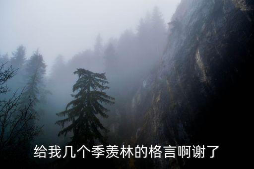 給我?guī)讉€(gè)季羨林的格言啊謝了