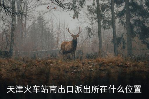 天津火車站南出口派出所在什么位置