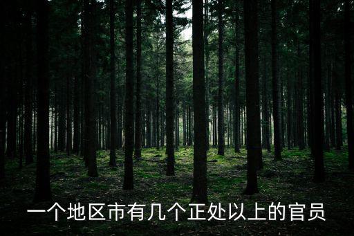 一個地區市有幾個正處以上的官員