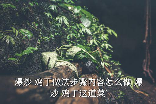  爆炒 雞丁做法步驟內容怎么做 爆炒 雞丁這道菜