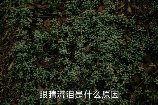 眼睛流淚是什么原因
