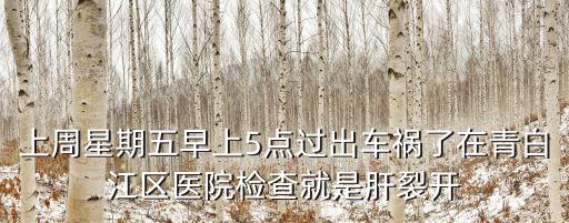 上周星期五早上5點過出車禍了在青白江區(qū)醫(yī)院檢查就是肝裂開