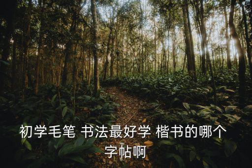 楷書書法字帖,歐陽(yáng)詢楷書楷書極美譽(yù)被后人模仿