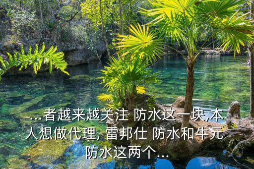 ...者越來越關(guān)注 防水這一塊,本人想做代理, 雷邦仕 防水和牛元 防水這兩個...